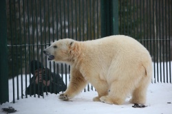 Посетителей Московского зоопарка будут знакомить с животными через стихи и прозу
