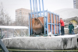 12 февраля Московский зоопарк отмечает свое 153-летие