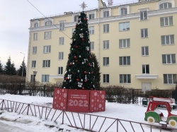 Новогодние елки установили на территории поселения Михайлово-Ярцевское