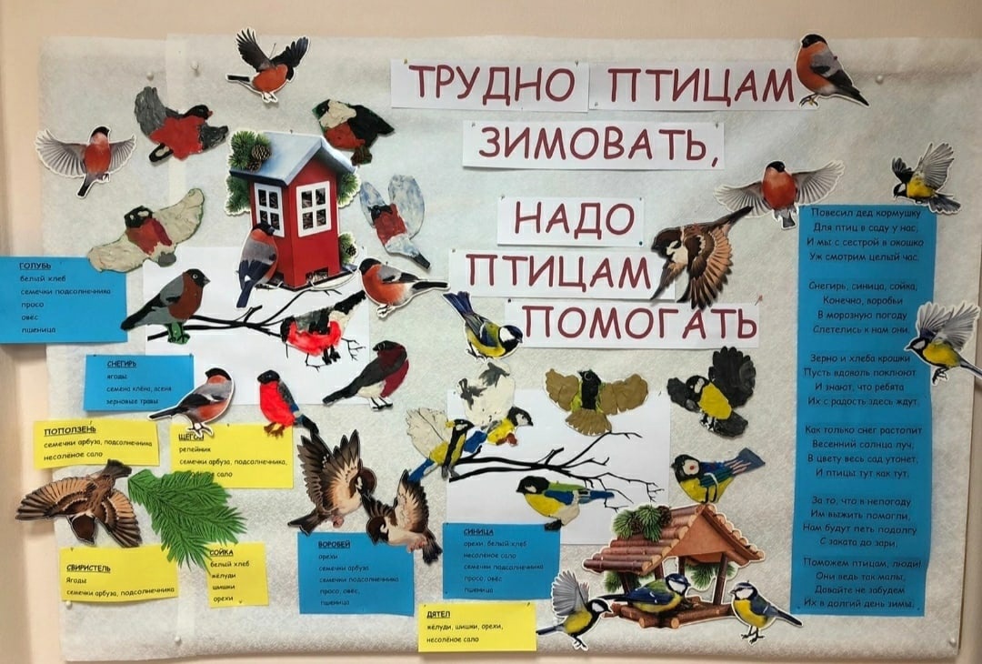 День зимующих птиц России отметили участники РГО «Плесково»