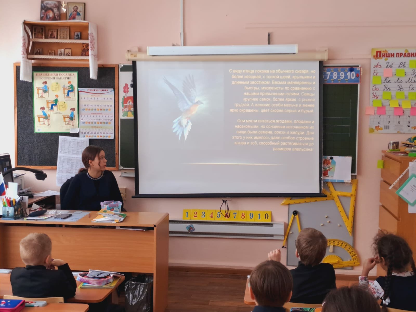 Активисты клуба РГО провели экологическое занятие для учеников школы «Плесково»